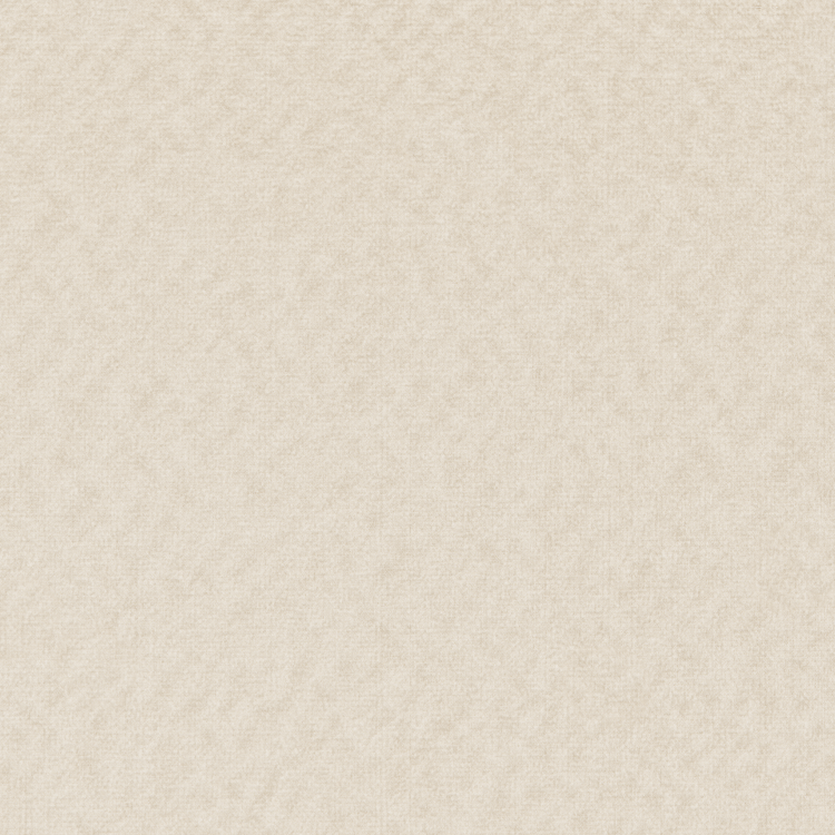 Hammered Champagne Swatch