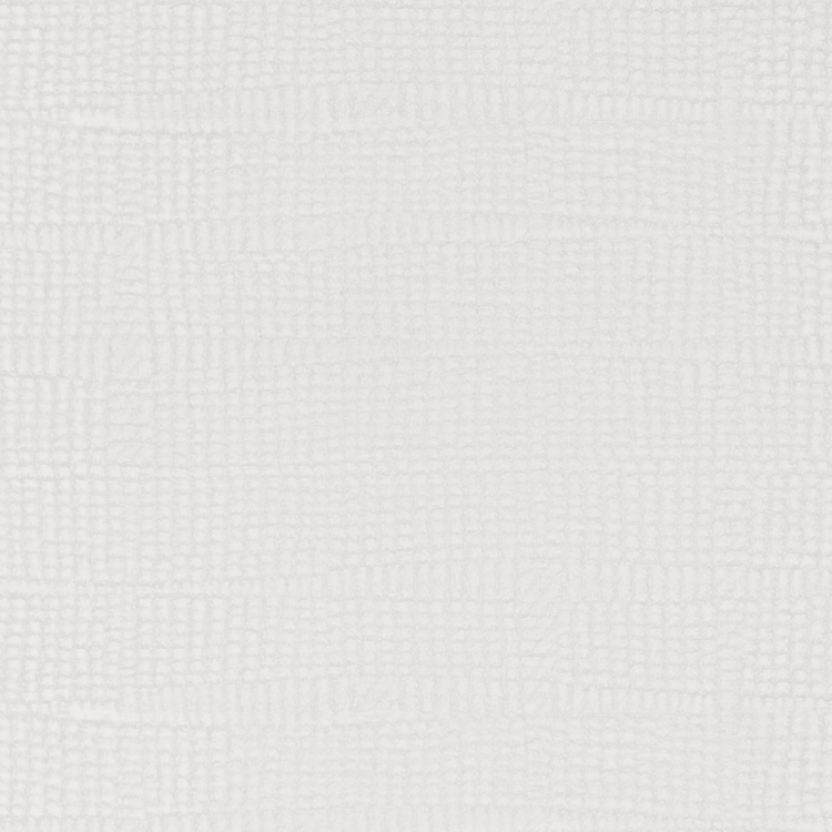 Savannah Bone Swatch