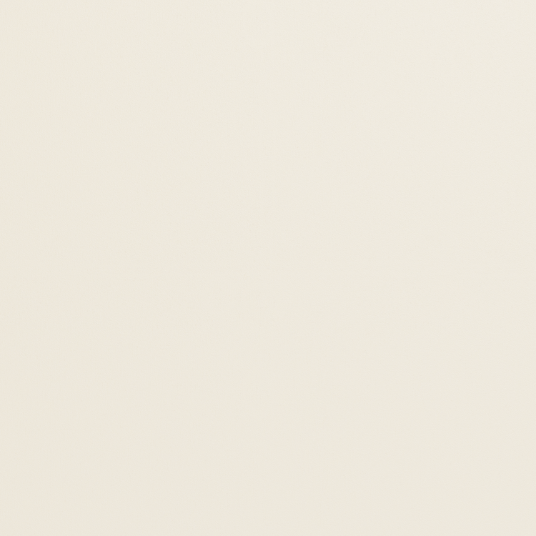 Silk Charmeuse Ivory Swatch