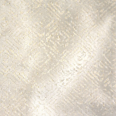 Product with title Imprint Curtain Panel - Pearl